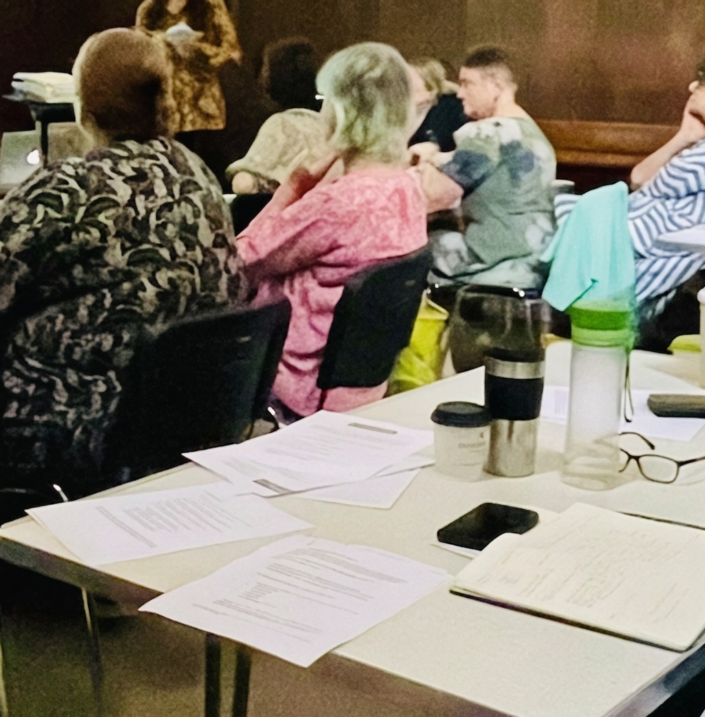 Neurodiversity for Therapists Therapists in a training session shot from the back